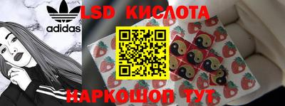 гидра Кингисепп