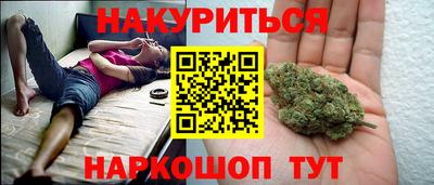 гидра Кингисепп