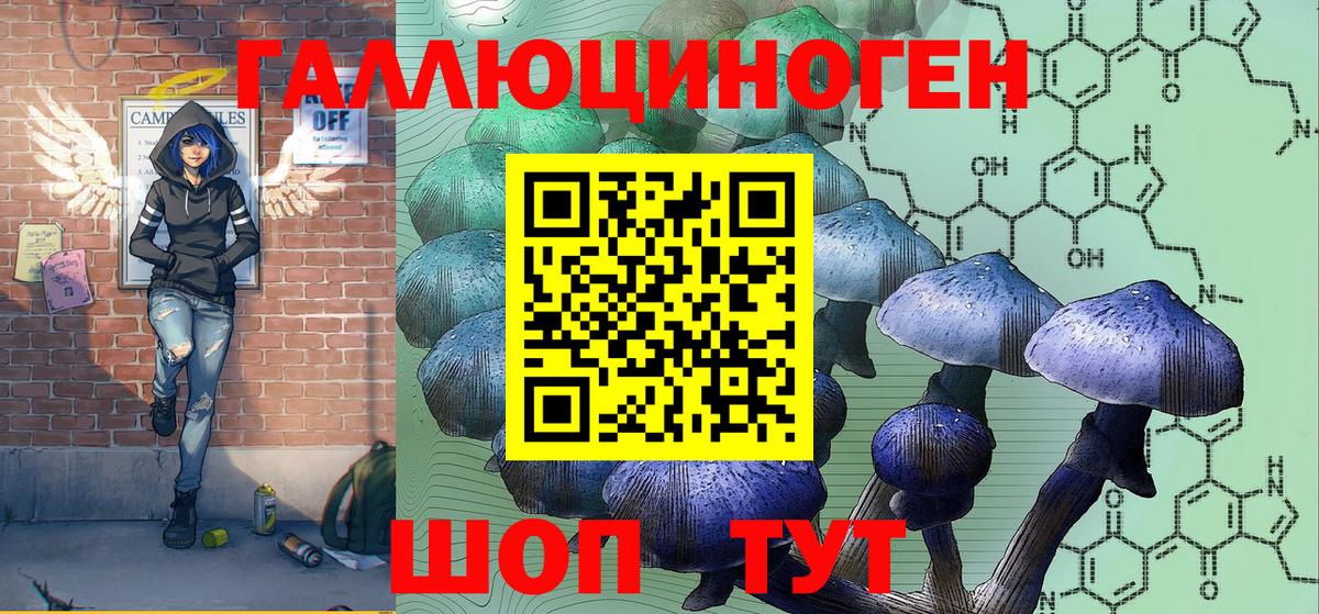 Когалым  Галлюциногенные грибы Cubensis  Вход с VPN 